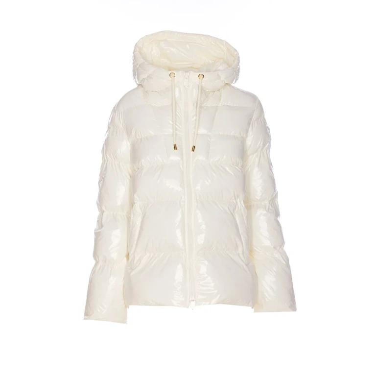 Pinko Eleodoro Down Jacket