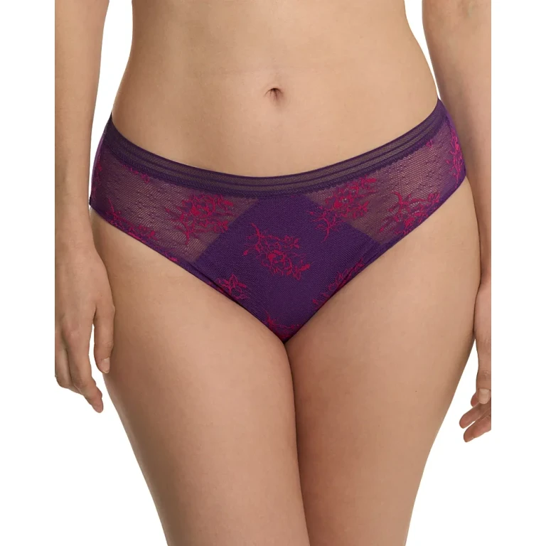 Natori Love Lace Hipster Panties