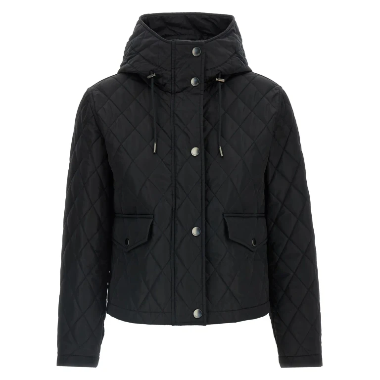 Burberry pembroke Jacket