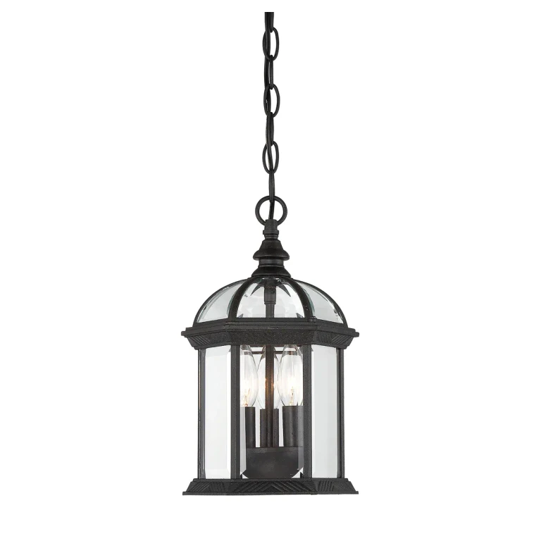 Savoy House Kensington Outdoor Hanging Lantern in Textured Black - 5-0635-BK