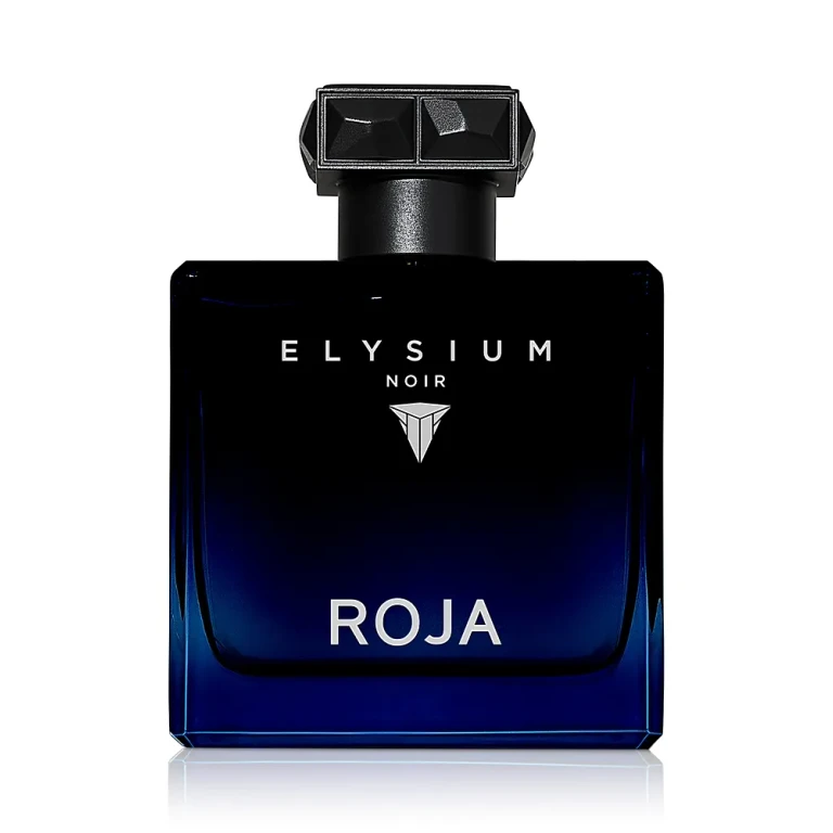Roja Elysium Noir Pour Homme Eau de Parfum 3.4 oz.