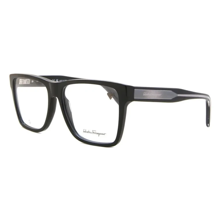 Ferragamo Demo Square Mens Eyeglasses SF2953N 001 56