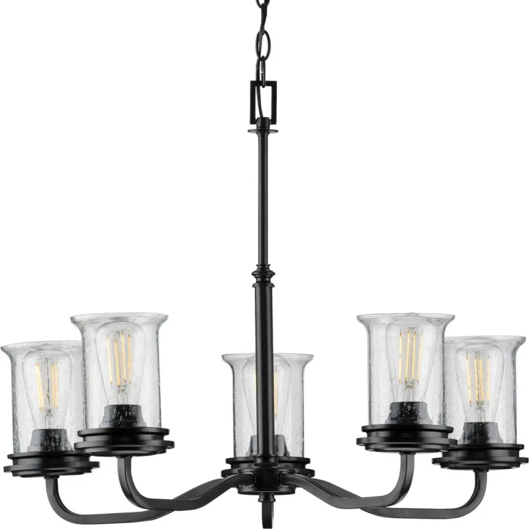 Black Five Light Chandelier from the Winslett Collection
