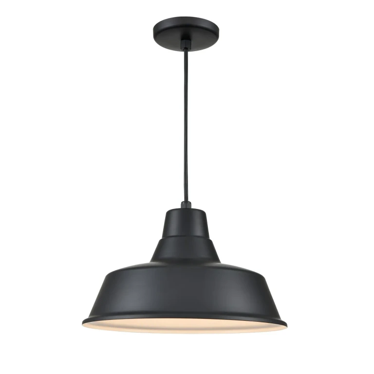 Satin Black Pendant from the R Series Collection