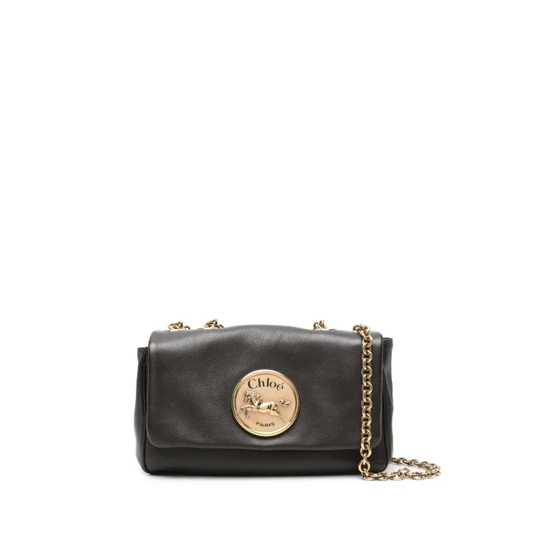 Chloé Chloè Bags.. Brown