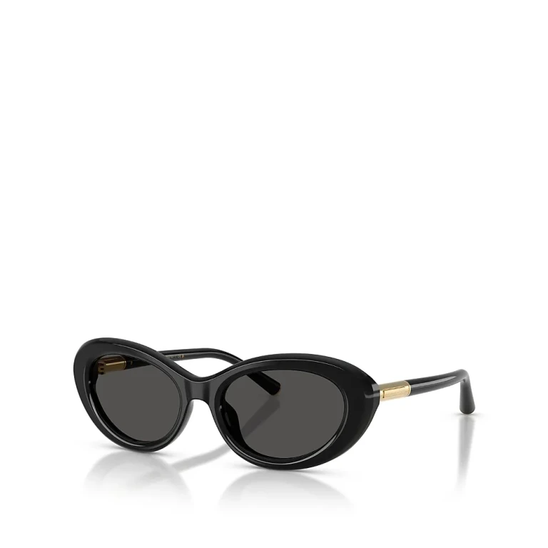 Dolce & Gabbana Oval Sunglasses, 54mm