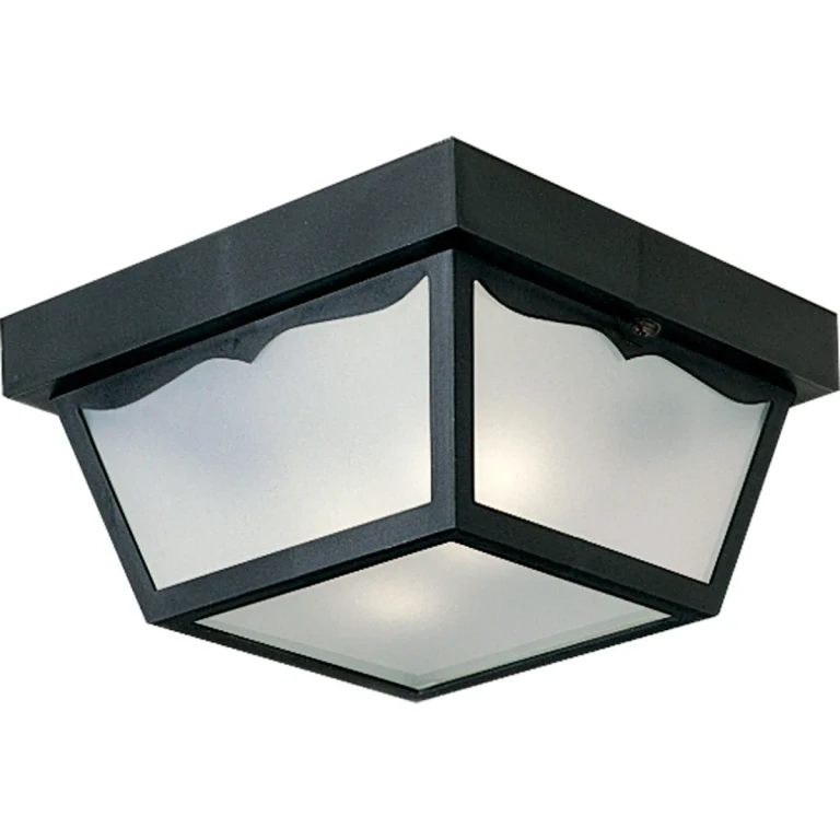 Black Two Light Outdoor Flush Mount from the Ceiling Mount - Polycarbonate Collection