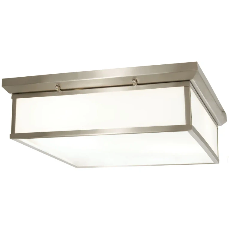20" Ceiling Light in Brushed Nickel