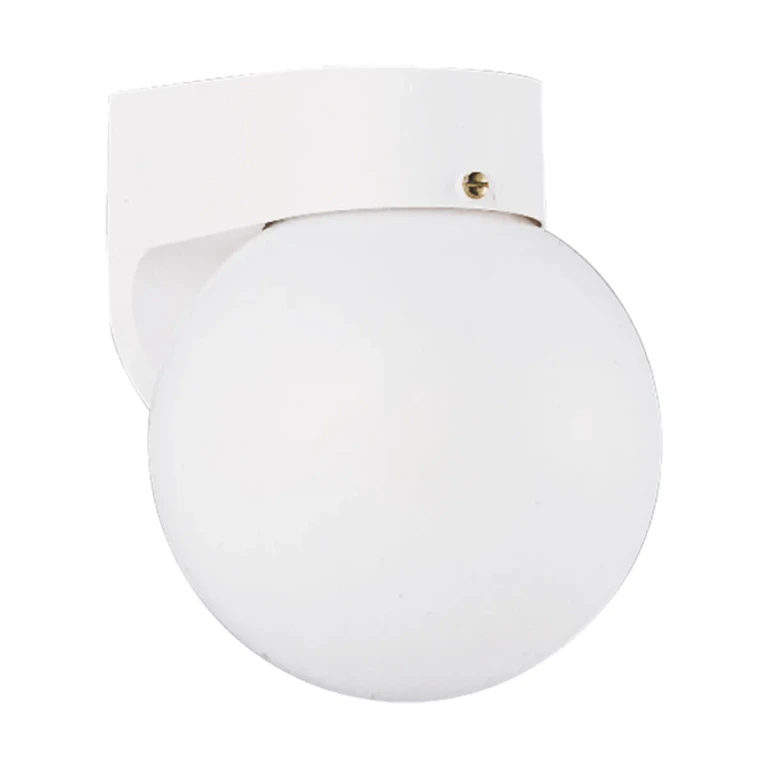 White One Light Outdoor Wall Lantern from the Outdoor Wall Collection
