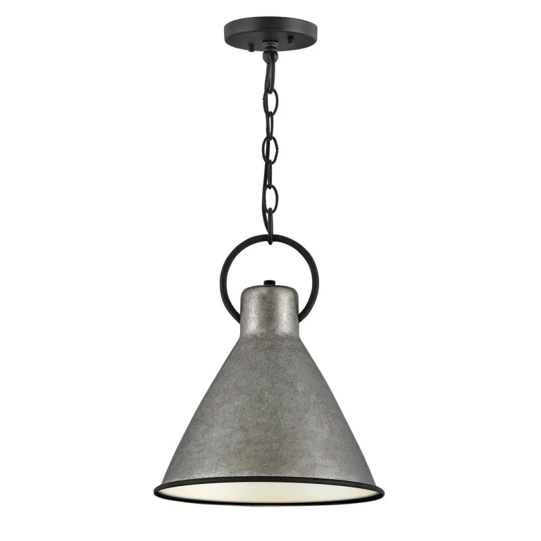 Winnie 1-Light Pendant In Rustic Pewter