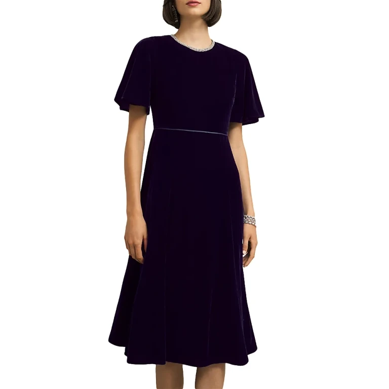 Hobbs London Catalina Velvet Dress