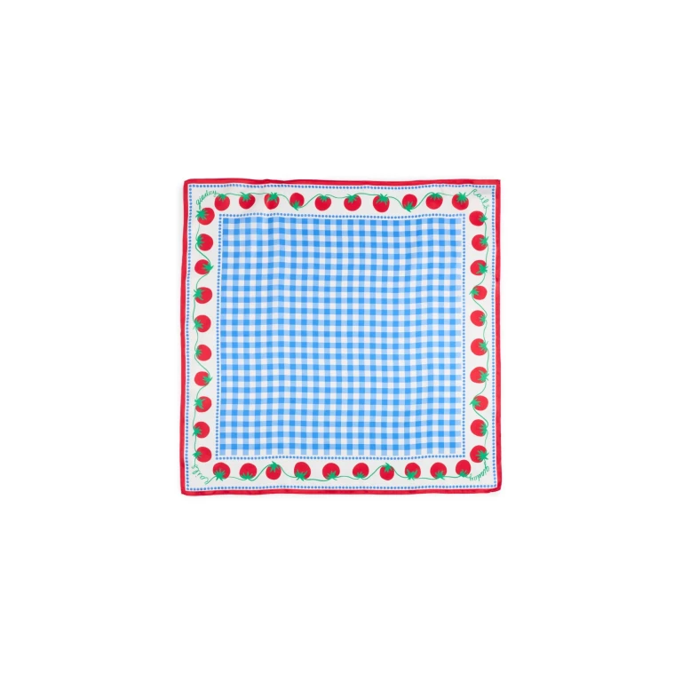 RAILS RAILS x Giadzy Cosima Scarf GINGHAM TOMATOES One Size