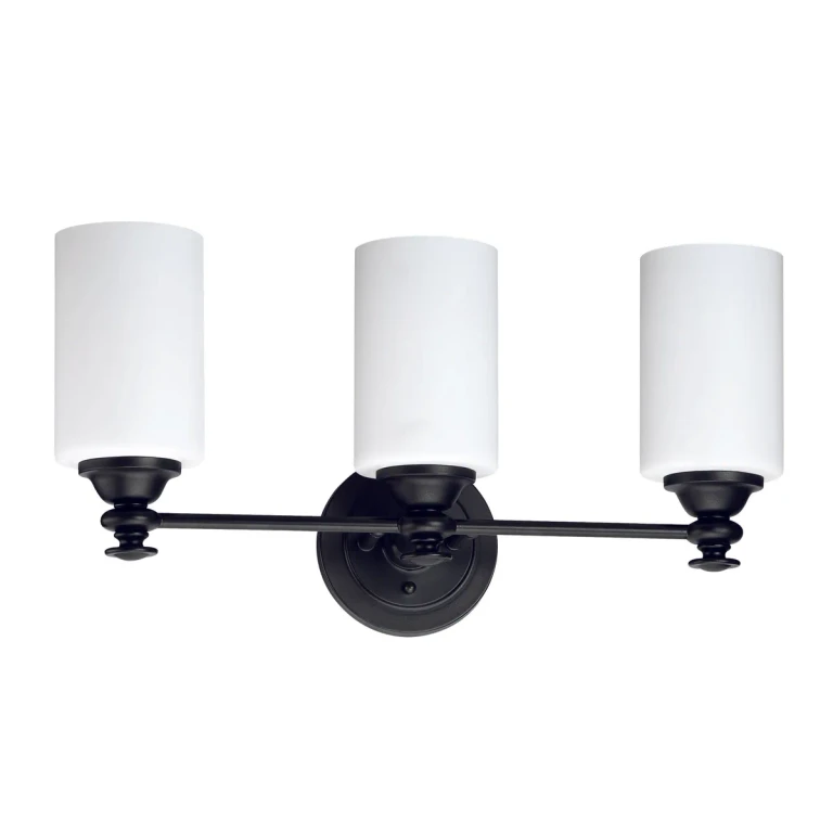 Dardyn 3-Light 22" Bathroom Vanity Light in Espresso
