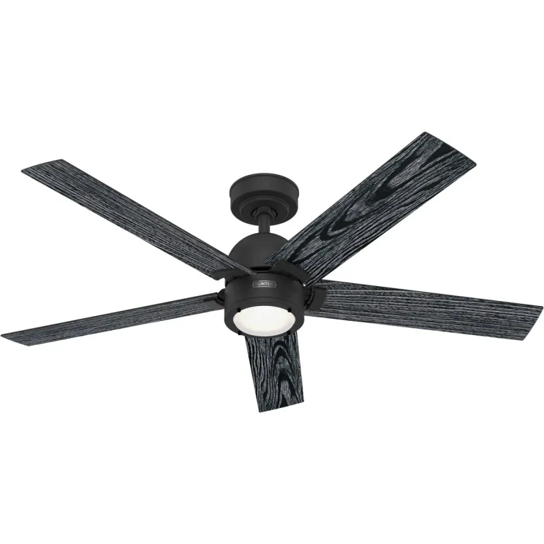 Matte Black 52"Ceiling Fan from the Erling Collection