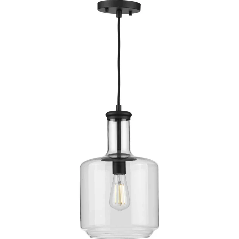 Black One Light Pendant from the Latrobe Collection