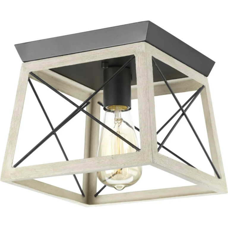 Graphite One Light Flush Mount from the Briarwood Collection