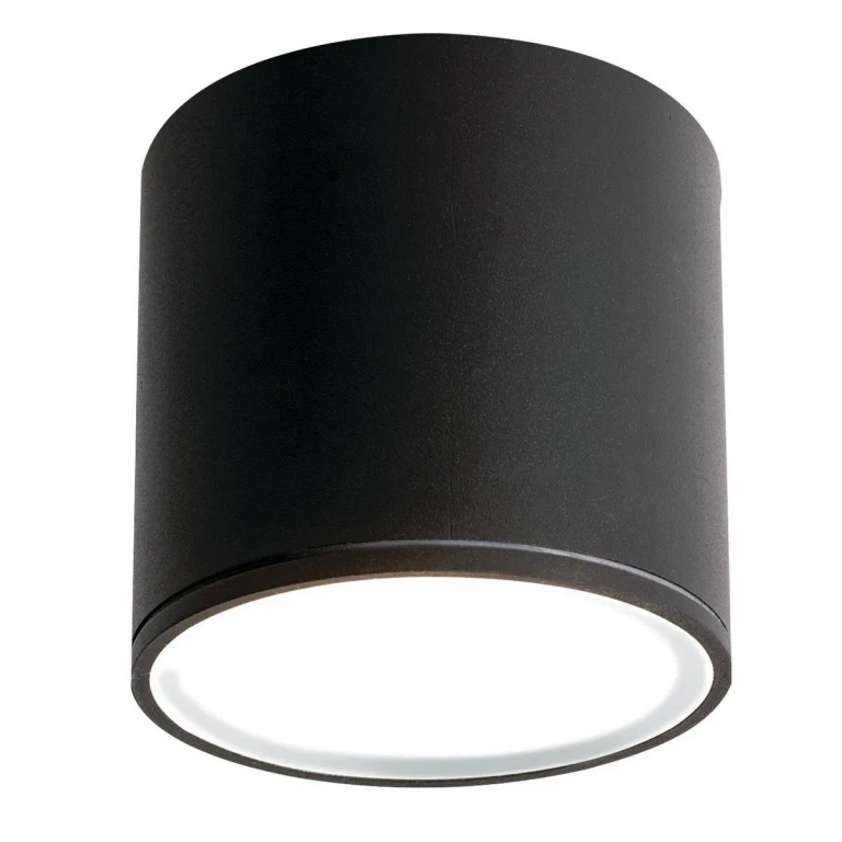 Black LED Outdoor Ceiling Mount from the Everly Collection