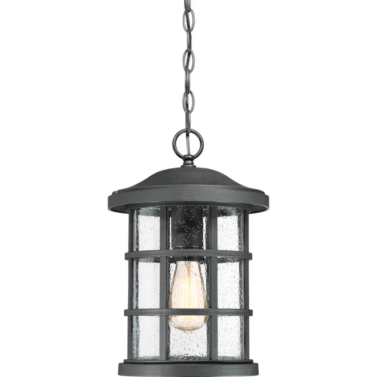 Crusade 1-Light Outdoor Hanging Lantern in Earth Black