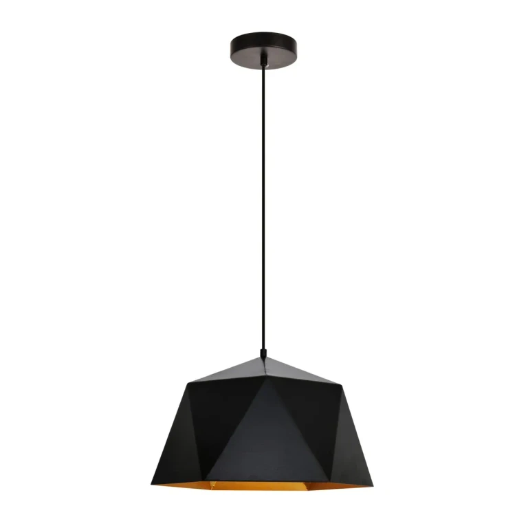 Black One Light Pendant from the Arden Collection