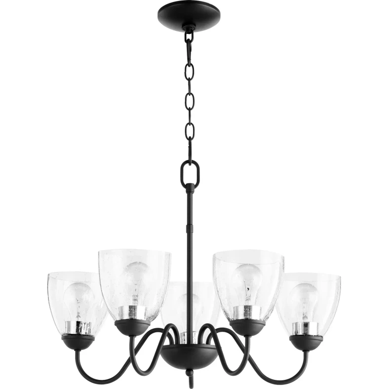 Quorum Quorum Home 5-Light 18" Transitional Chandelier in Noir