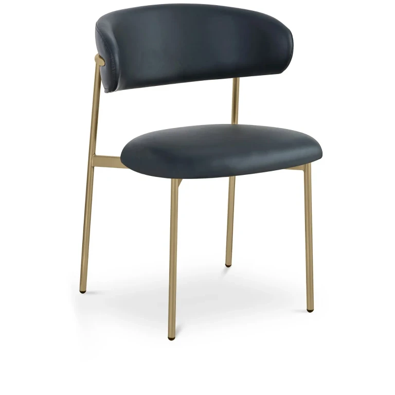 Lupita Black and Gold Dining Chair, Set of 2