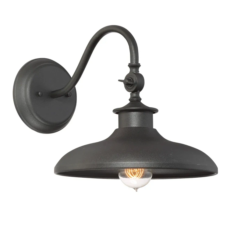 Savoy House Raleigh Outdoor Wall Light in Black - 5-9584-BK