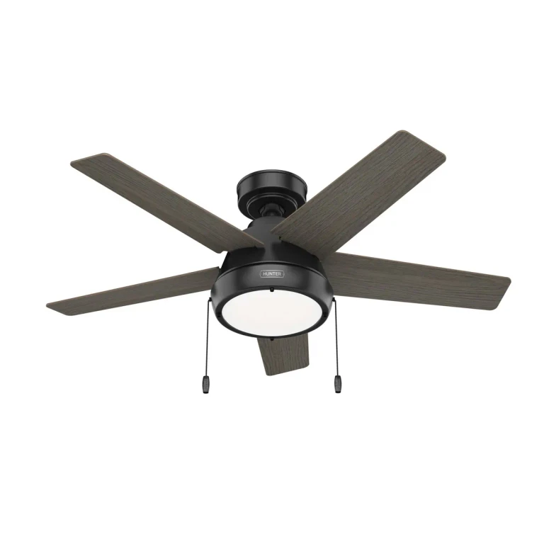Matte Black 44"Ceiling Fan from the Burroughs Collection
