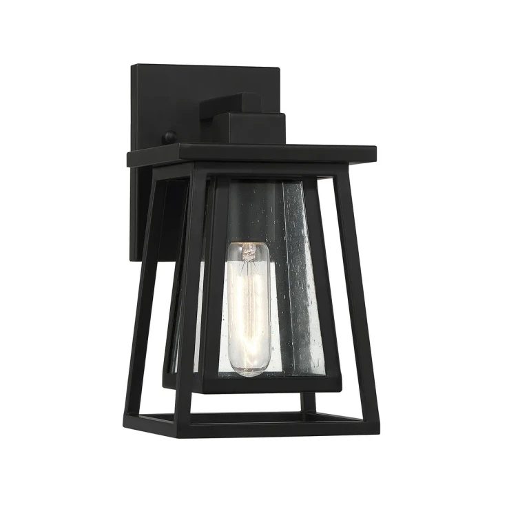 Denver 1-Light Outdoor Wall Lantern in Matte Black