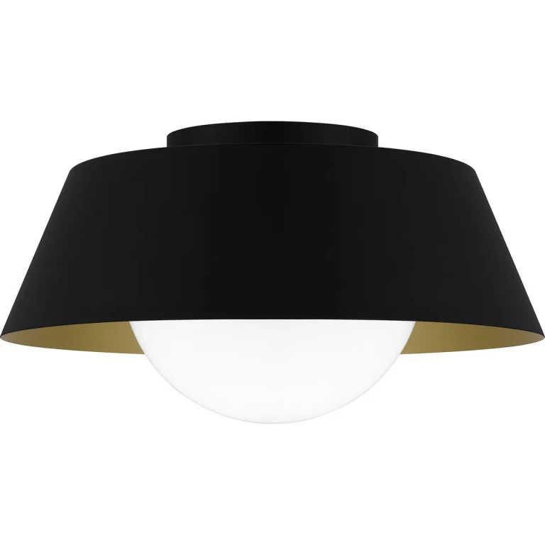 Quoizel Flush Mount 1-Light Flush Mount in Matte Black