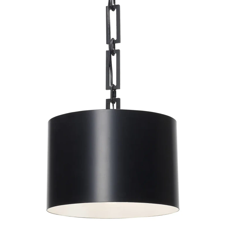 Brian Patrick Flynn for Alston 12" Pendant in Matte Black