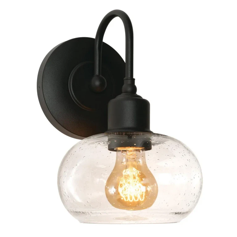 Laney 1-Light Wall Sconce in Black