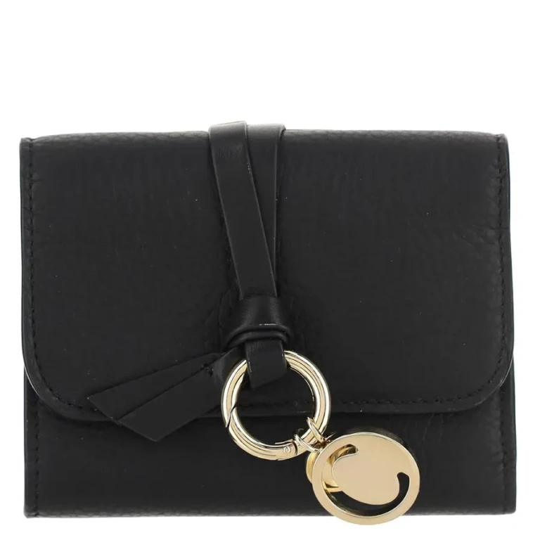 CHLOÉ Wallet Woman color Black (CHC21WP945F57001)