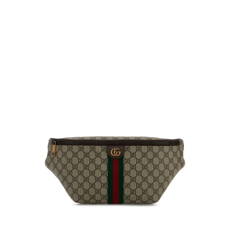 Gucci Printed Canvas Belt Bag