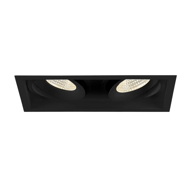 Amigo 2-Light Recessed Light in Black