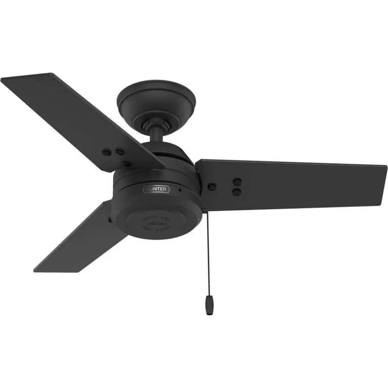 Matte Black 36" Ceiling Fan from the Cassius Collection