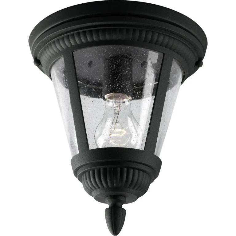 Black One Light Close to Ceiling from the Westport Collection
