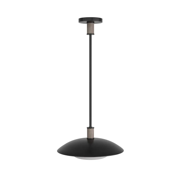 Blackened Iron One Light Pendant from the Tobias Collection