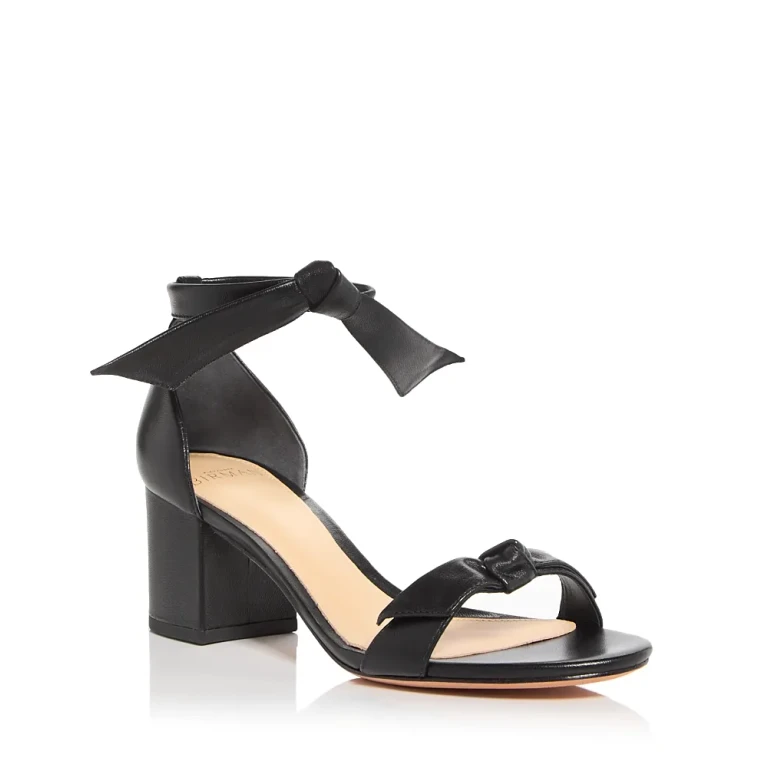 Alexandre Birman Women's Clarita Ankle Tie Sandals