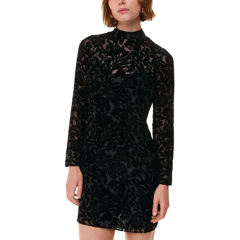 Whistles Embellished Floral Velvet Dress