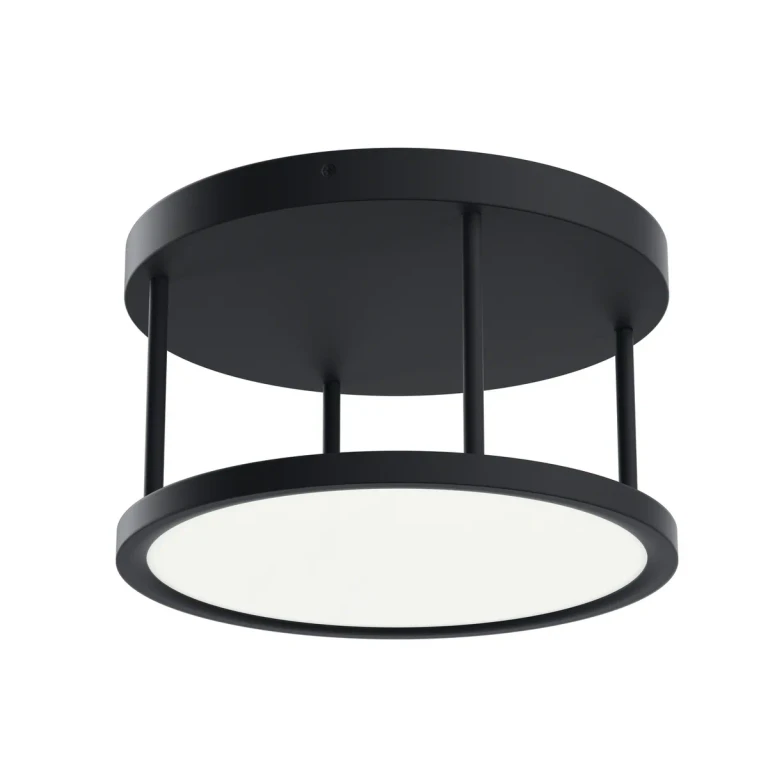 Lavi Ceiling Light in Matte Black