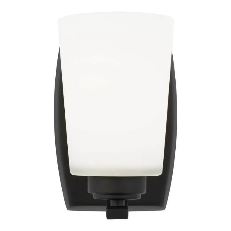 Franport 1-Light Bathroom Vanity Light Sconce in Midnight Black