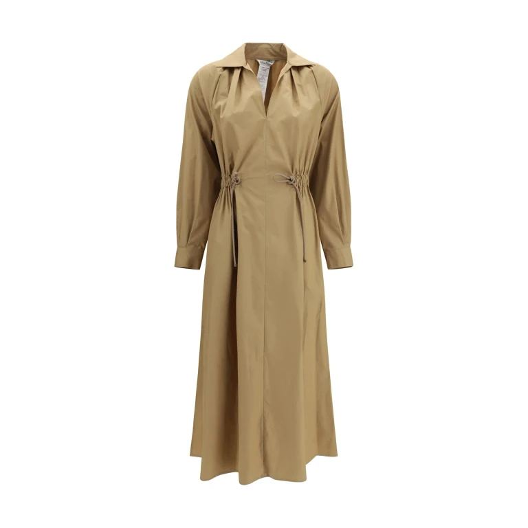 Max Mara Pedaggi Midi Dress In Cotton Poplin