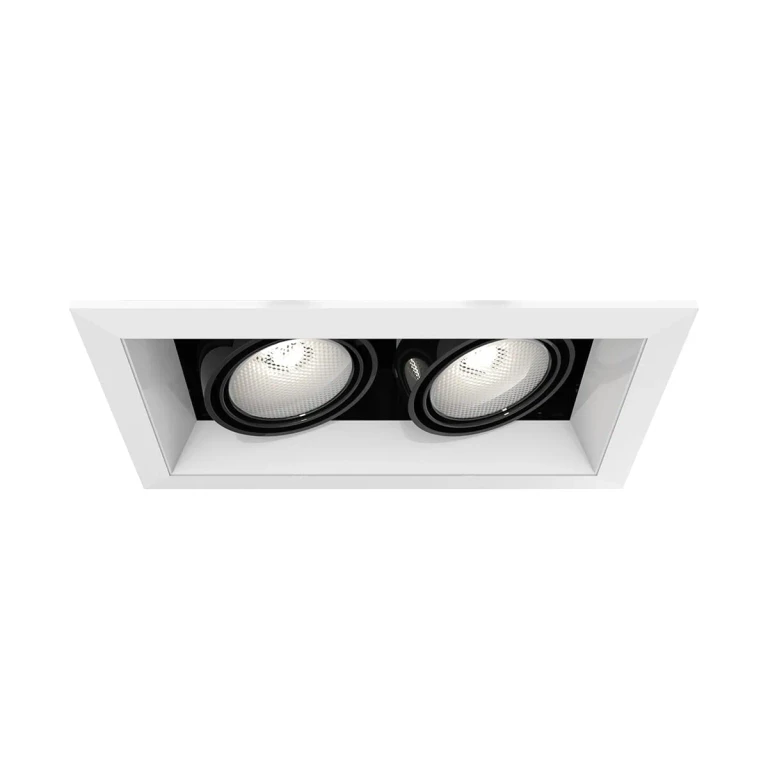 Eurofase Te162 2-Light Recessed Light in Metal
