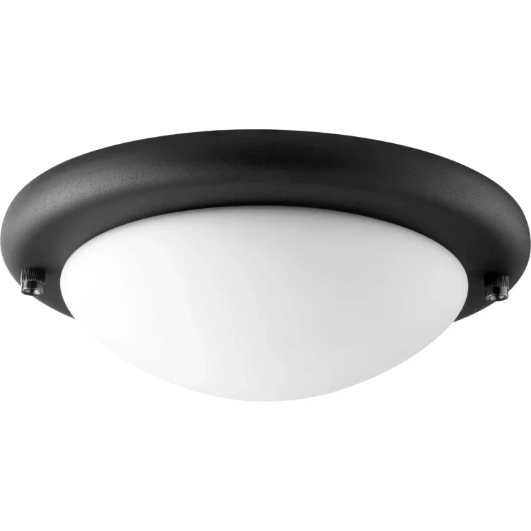 Quorum Ceiling Fan Light Kit in Noir