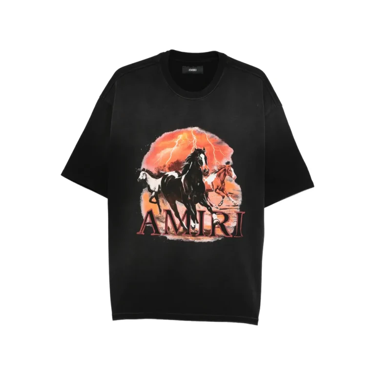 Amiri Plains グラフィック Tシャツ