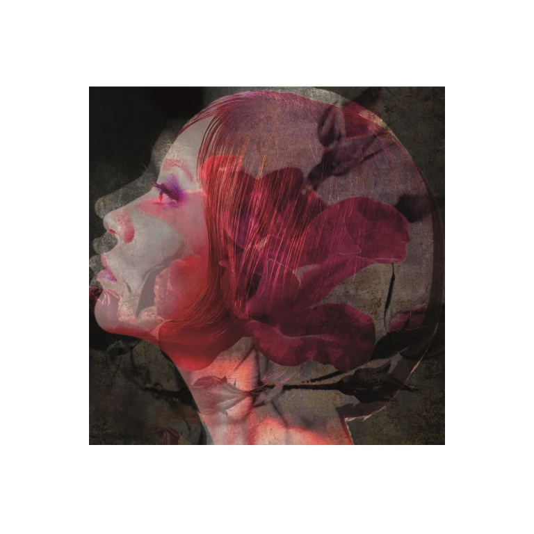 Woman's Side Portrait Artwork | Andrew Martin Red Black Face