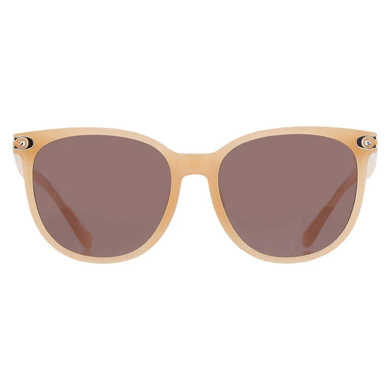 Coach Brown Cat Eye Ladies Sunglasses HC8414BD 585473 57