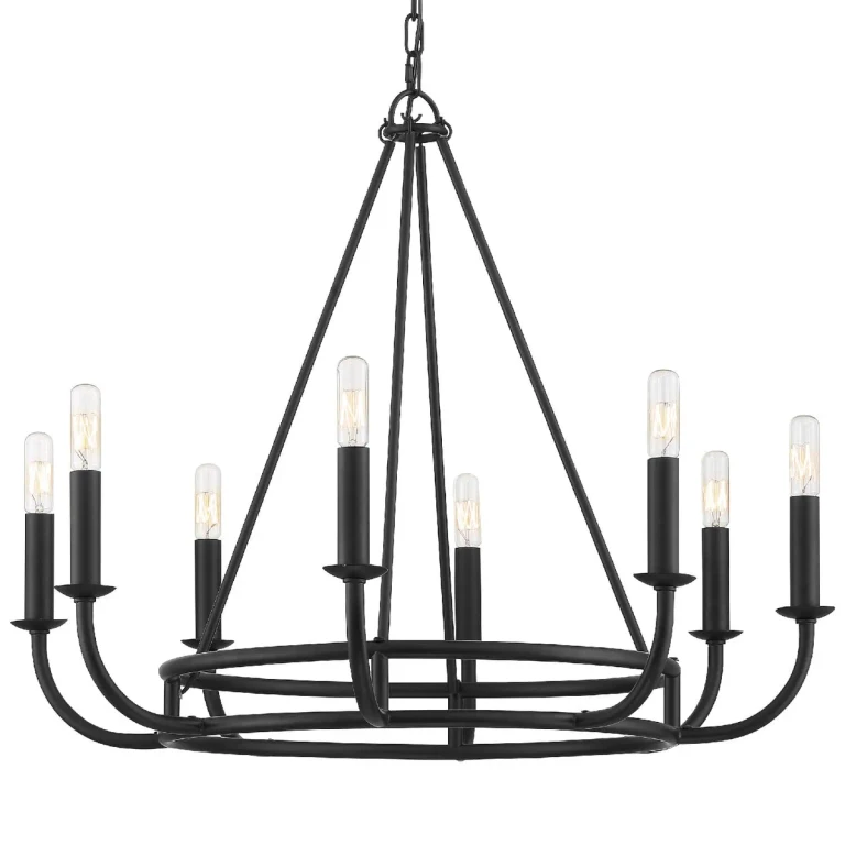 Bailey 8-Light 22" Chandelier in Matte Black