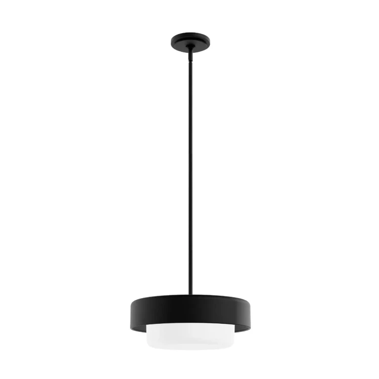 Natural Black Iron Two Light Pendant from the Station Collection