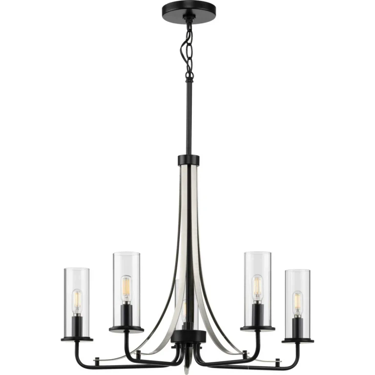 Black Five Light Chandelier from the Riley Collection